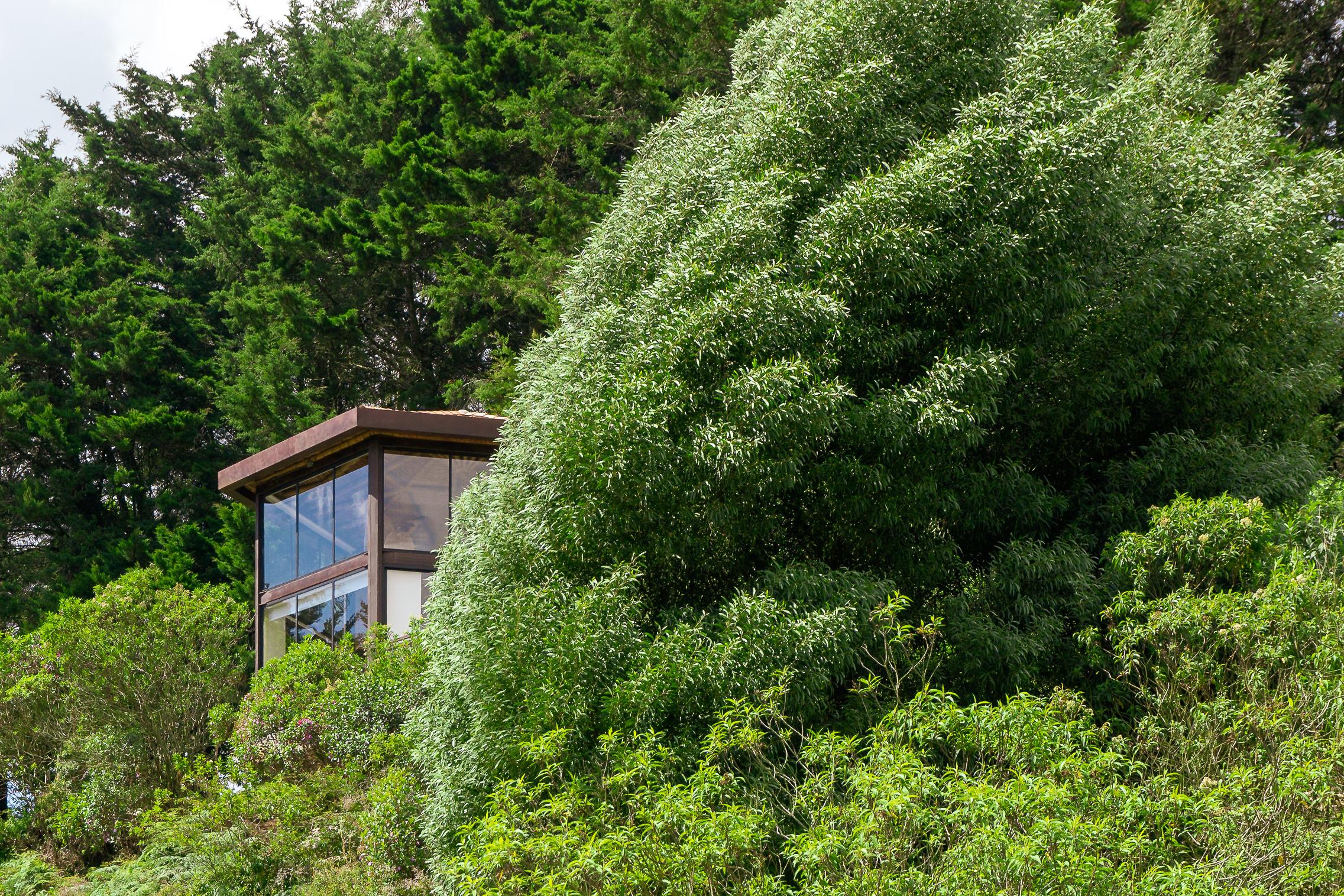 Cannua Lodge Marinilla Dış mekan fotoğraf